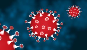 Covid 19 Coronovirus